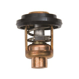 Sierra International Thermostat, model 18-3628-1, Sierra OEM