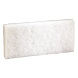 SCRUB PAD FINE 10BX