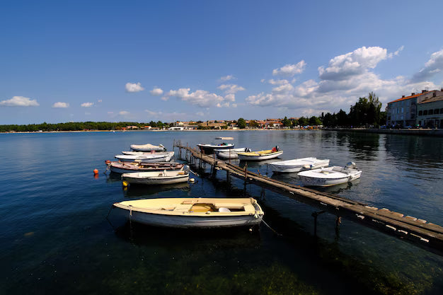 "How to Choose the Best Marine Fans for Coastal Homes"
