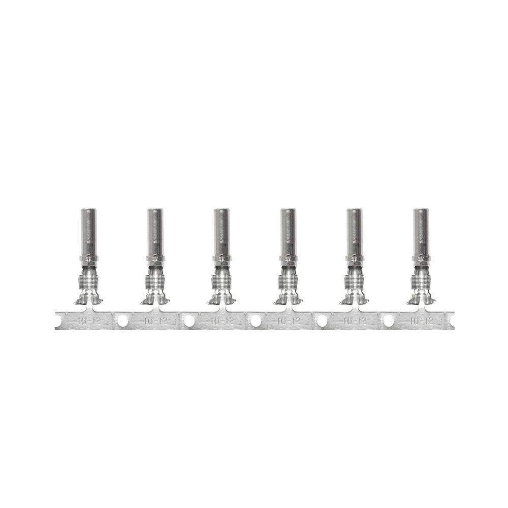 Pacer DTP Deutsch Socket f/10 AWG Wire - Size 12 Contact (25 Pack)