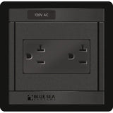 Blue Sea 1479 360 Panel - 120V AC DUal Outlet