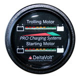 Dual Pro Battery Fuel Gauge For 1 - 24v, 1 -12v Systems