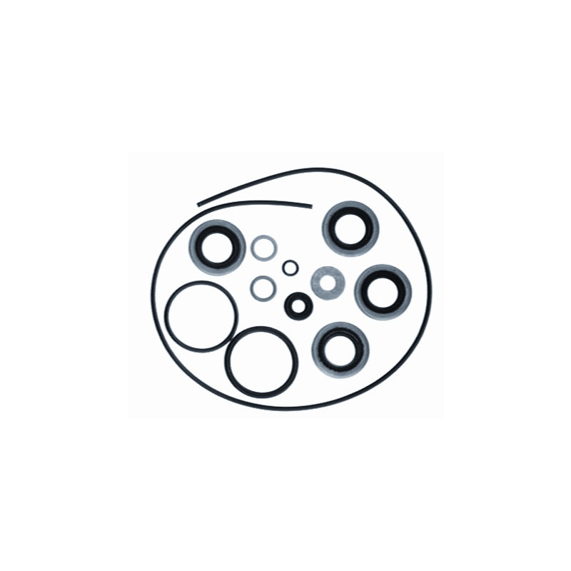 OMC GEAR HOSE SEAL KIT MPN-18-2685