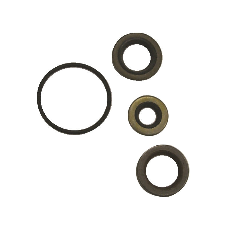 MRY CRANKCASE SEAL KIT MPN-18-4332