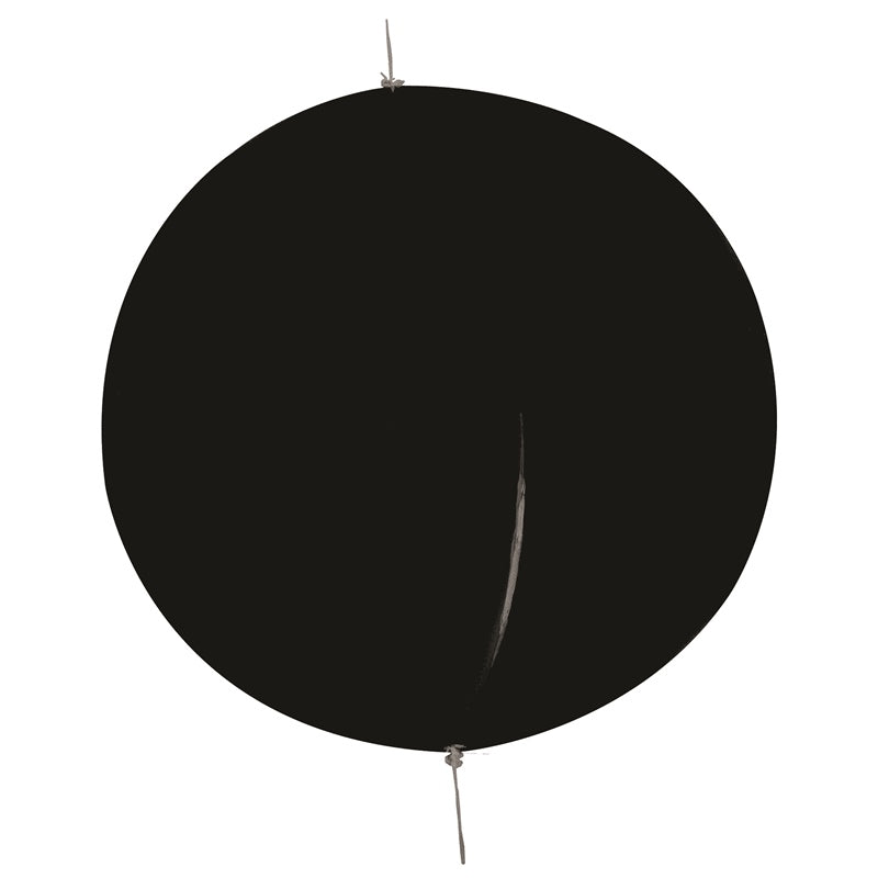DAYMARK BALL BLACK MPN-1900