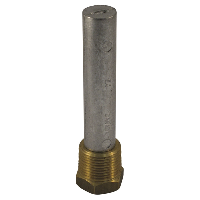 ZINC ONLY 1/2 X 2 MPN-E-1Z