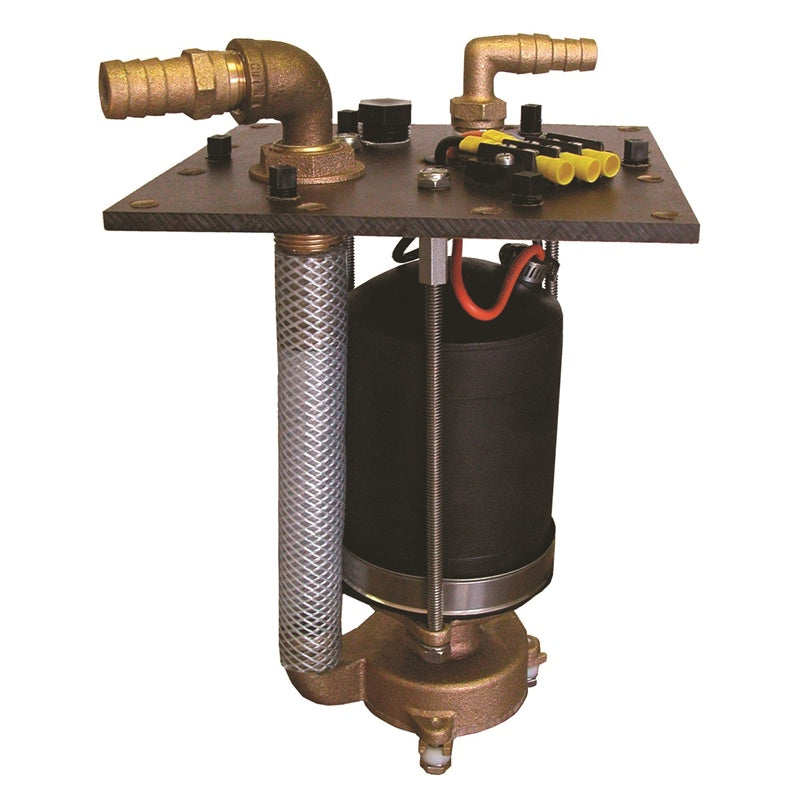 12V MACERATOR 10" MPN-155-6110-12