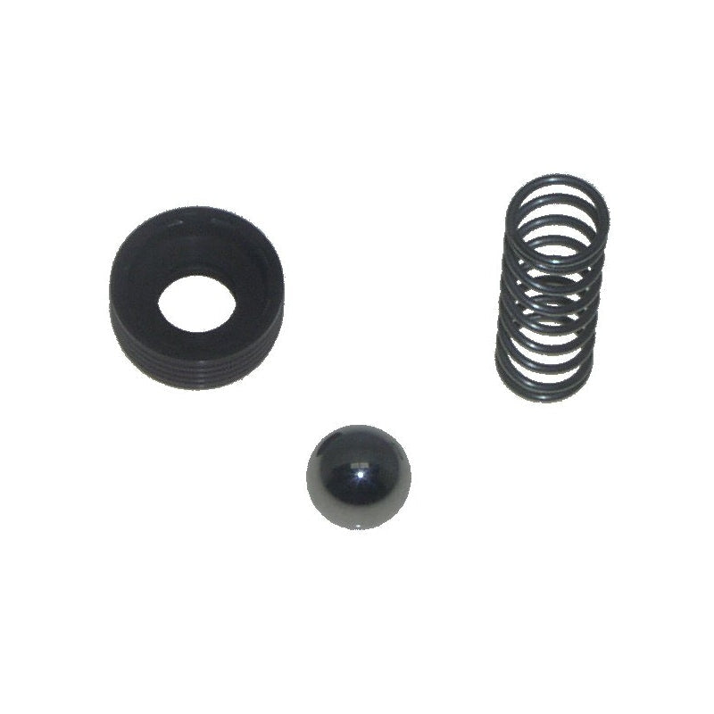 CHECK VALVE KIT MPN-21-02382