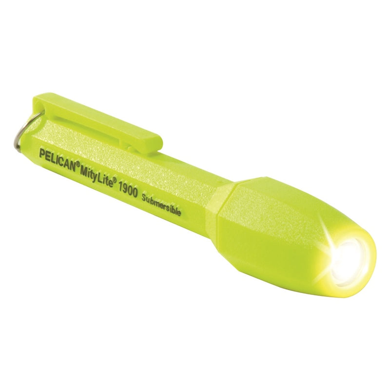 REPL LAMP MODULE F/1900 MPN-1904