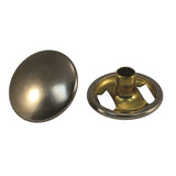 (896) CNVS FSTNR BTTN MPN-560578