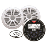 AM/FM PACKAGE WHITE SPKR MPN-MCKGB350W.6