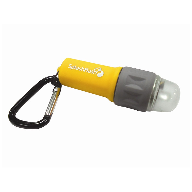 SPLASHFLASH 50P ASSOR CJ
