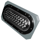 BEAR W/STN MOUNT MPN-80W POLAR